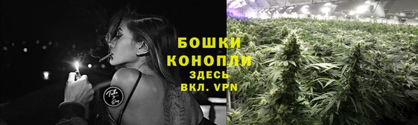 соль ск Видное