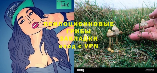 стаф Покровск