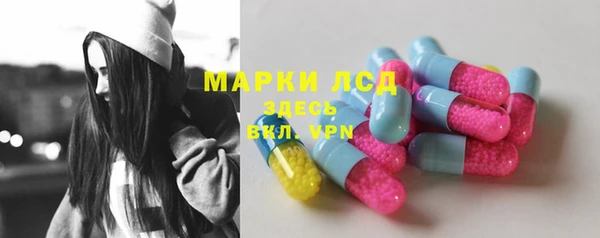 PSILOCYBIN Покачи