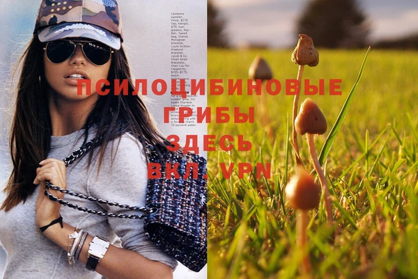 PSILOCYBIN Покачи
