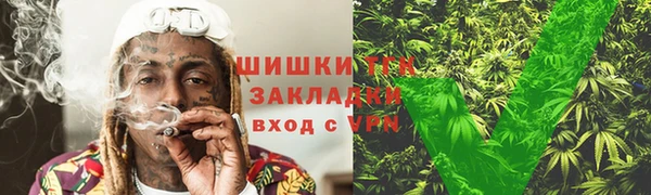 PSILOCYBIN Покачи