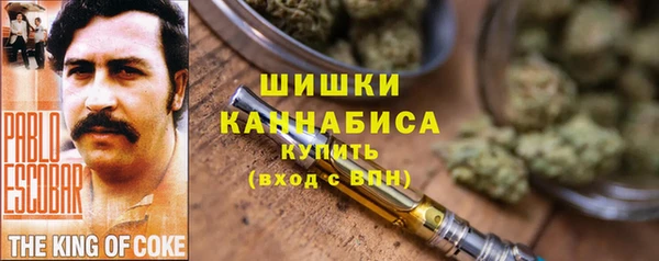 PSILOCYBIN Покачи